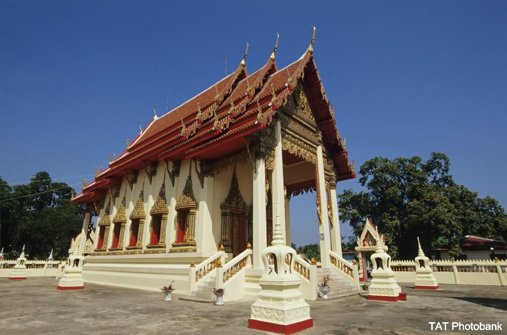 ค้างคาวแม่ไก่วัดจันทาราม – อ่างทอง P03000555_1.jpg