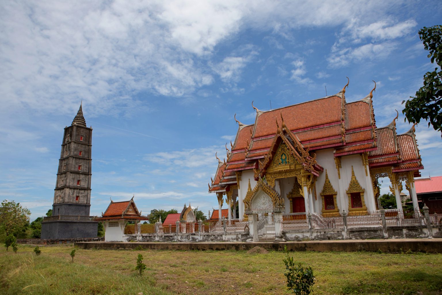 วัดปลดสัตว์ – อ่างทอง P03017317_1.jpg