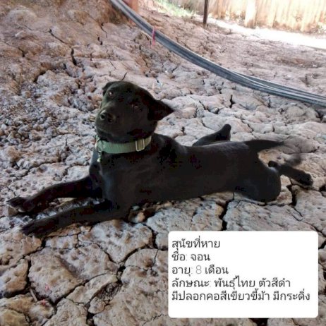 จส. 100 จส-100-–-จส.-100