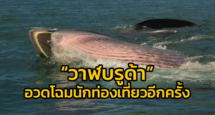 สวพ. FM 91 สถานีวิทยุเพื่อความปลอดภัยและการจราจร 011_qpbn.jpg