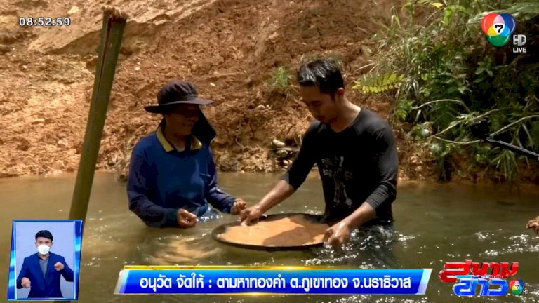 คอลัมน์หมายเลข 7 : ต้นทองอุไรที่ถูกลืม จ.อ่างทอง คอลัมน์หมายเลข-7-:-ต้นทองอุไรที่ถูกลืม-จ.อ่างทอง