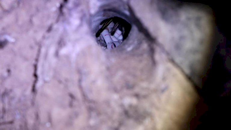 เสี่ยงทายเลขเด็ดพญาบึ้งอ่างทอง ให้เลขตอนเย็นสมใจ มาทั้ง 3 ตัวและ 2 ตัว เสี่ยงทายเลขเด็ดพญาบึ้งอ่างทอง-ให้เลขตอนเย็นสมใจ-มาทั้ง-3-ตัวและ-2-ตัว