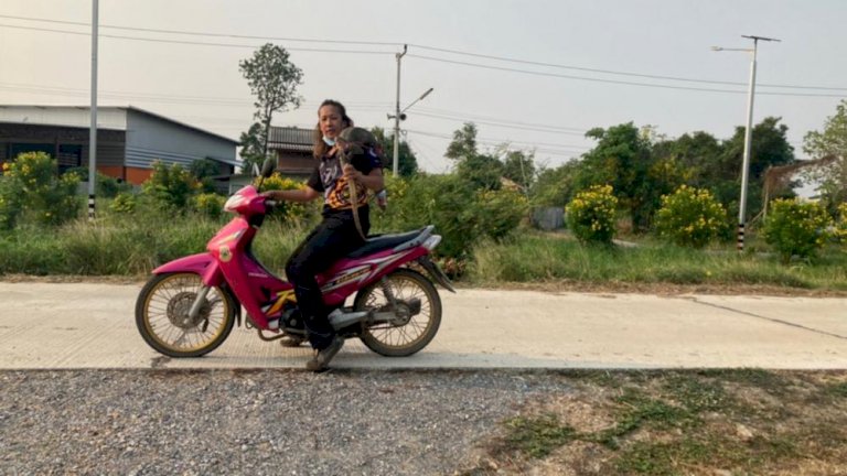 สุดทึ่ง สาวกู้ภัยโชว์เดี่ยว “จับเหี้ย” แบกขึ้นรถ ขี่ไปปล่อยเอง (คลิป) สุดทึ่ง-สาวกู้ภัยโชว์เดี่ยว-“จับเหี้ย”-แบกขึ้นรถ-ขี่ไปปล่อยเอง-(คลิป)