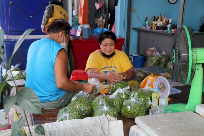 ชอบเผ็ด ๆ กินเต็มที่ “พริกขี้หนูสวน” จ.อ่างทอง ราคาลดลง ชอบเผ็ด-ๆ-กินเต็มที่-“พริกขี้หนูสวน”-จ.อ่างทอง-ราคาลดลง