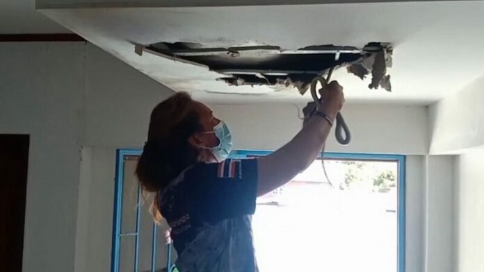 สิ้นสงสัยเสียงอะไร! หนุ่มผงะเจอหางโผล่จู๋จี๋กันใต้ฝ้าเพดาน หวิดลูกหลานเต็มบ้าน – ข่าวสด ใต้ฝ้า