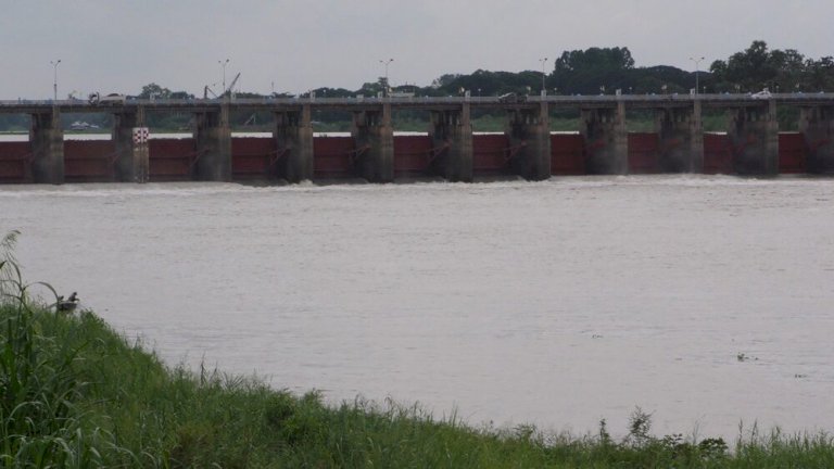 น้ำเหนือถึง 'ชัยนาท' แล้ว เขื่อนเจ้าพระยาเร่งพร่องน้ำ น้ำเหนือถึง-'ชัยนาท'-แล้ว-เขื่อนเจ้าพระยาเร่งพร่องน้ำ