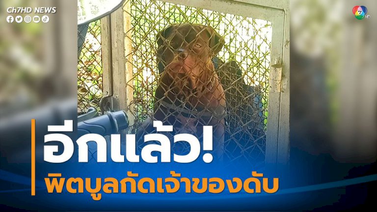 อีกแล้ว! “พิตบูล” กัดเจ้าของตาย เมื่อ 2 เดือนก่อนเพิ่งกัดเพื่อนบ้านเจ็บสาหัส อีกแล้ว!-“พิตบูล”-กัดเจ้าของตาย-เมื่อ-2-เดือนก่อนเพิ่งกัดเพื่อนบ้านเจ็บสาหัส